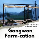 횡성 산들에 청정민박 | 강원도 고성 숙소 일단떠나 농어촌민박앱 후기