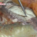 남대문막내횟집 이미지