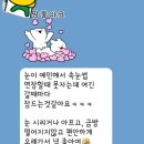 비비드아이래쉬