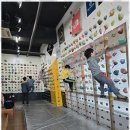 단국대 백호 태권도장 이미지