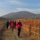 새길시장 이미지