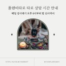 마음을 읽는 타로상담 이미지