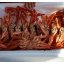 대현축산 이미지