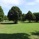 구천동1로 이미지