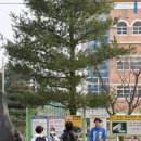 용산초등학교 앞 이미지