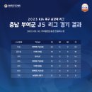 부여군종합운동장 족구장 이미지