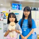 애견갤러리 강아지분양 애견샵 이미지