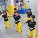 경희대 운남태권도 이미지