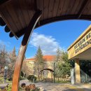 수광농장 | [Riley in Ankara ep2] 터키 교환학생 3~4주차ㅣ행정처리ㅣ개강....ㅣ교환가서 여권잃어버~~리지말고...