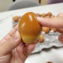 주령축산 이미지