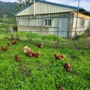 백운농장 이미지