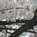 짱 노래연습 이미지