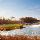 필드 골프클럽 이미지