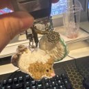 날아라 햄찌 이미지