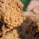 문덕장류마을 이미지