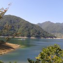 마그실농원 이미지