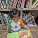 하늘빛작은도서관 이미지