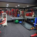 휘트니스 트리 이미지