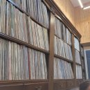 오르페우스 | 가평 계곡 펜션 물놀이 바베큐 모두 가능한 오르페우스 펜션 내돈내산 후기 + 신동엽 위스키 맛 후기