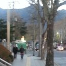 대명 스크린 골프연습장 이미지