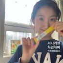 스루웰 | 스루웰화이바 차전자피 식이섬유 효소 솔직 후기