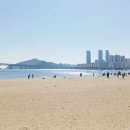 굿짐 | 보관 : 광안역 광안리역 근처, 광안리 해변 카페 &#39;광안이즈굿 장기간 캐리어 배낭&#39; 짐 보관 내돈내산 후기