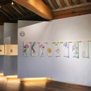 꼭꼭 숨어라 동물들아 이미지