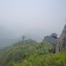 태승카 Daum카페
