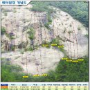 새터 Daum카페