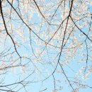 내서읍382 이미지