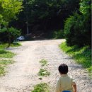 세빈농장 이미지