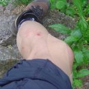 태극반점 티스토리