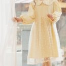 플로샤