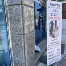 보떼춘천
