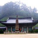 월정사 - 1357 | 월정사
