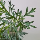 경기둘레길 양평31코스 이미지