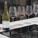 신동-93 | 토브렉, 런릭(Torbreck, RunRig) 2018