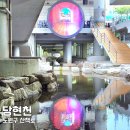 당현천산책로 | 노원구 산책로 당현천 걷기 + 가을 노원달빛산책 축제