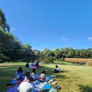도마산초등학교 이미지