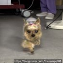 연우메디칼 이미지