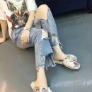 미유미유(miUmiU)
