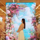 제부도해상케이블카 주식회사 | 서해랑 제부도 해상 케이블카 예약
