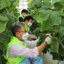 석문농장 이미지