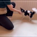 털로덮인친구들 용인죽전점 이미지