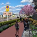 곽금초등학교 이미지