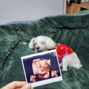 자람한의원 | 통증|두통|변비|마그밀|2차 기형아검사|결과|배크기|철분제|추천|후기|감기몸살|수액|브라운체온계|스와들