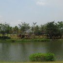 금잔디 골프 클럽 이미지