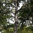 부천시청역 이미지