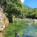 화개초등학교왕성분교장 이미지