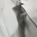 부산대트루바두르